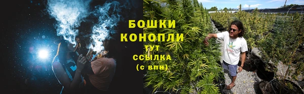 гидропоника Абаза