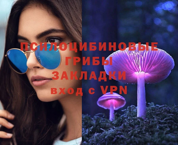 прущие крисы Осинники