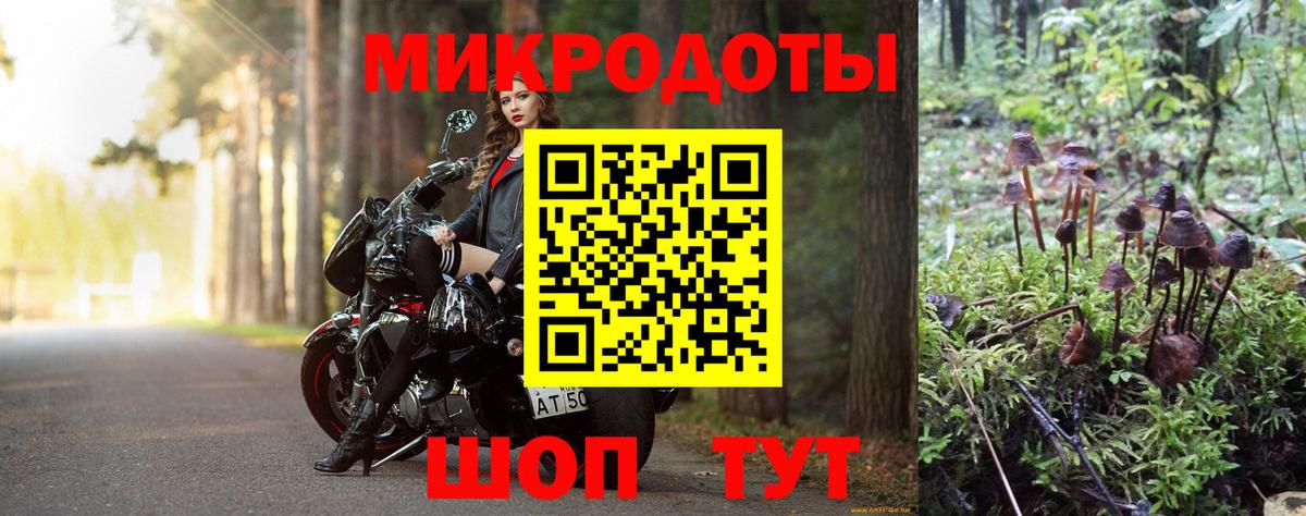 Советск  дарнет шоп  Вход с VPN  Псилоцибиновые грибы Psilocybe 