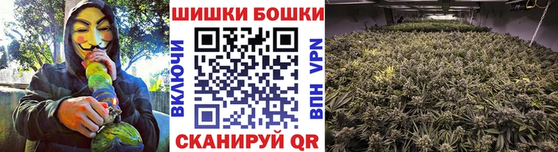 Бошки марихуана OG Kush Советск