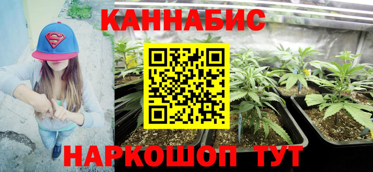 Бошки Шишки семена Советск